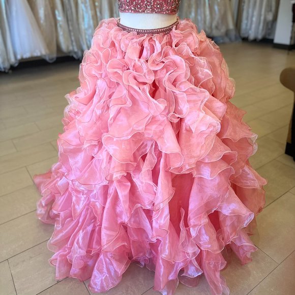 Pink Quinceanera Collection, Size - Picture 3 of 3